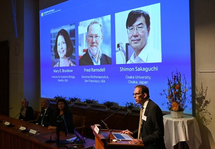 Thomas Perlmann, Secretario General del Comité Nobelse, muestra a los ganadores del Premio Nobel de Medicina 2025, Mary E Brunkow, Fred Ramsdell y Shimon Sakaguchi, el 6 de octubre, en el Instituto Karolinska de Estocolmo, Suecia. · Foto: Jonathan Nackstrand, AFP Thomas Perlmann, Secretario General del Comité Nobelse, muestra a los ganadores del Premio Nobel de Medicina 2025, Mary E Brunkow, Fred Ramsdell y Shimon Sakaguchi, el 6 de octubre, en el Instituto Karolinska de Estocolmo, Suecia. · Foto: Jonathan Nackstrand, AFP