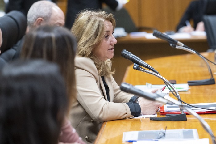 Sandra Libonatti, de la Senaclaft, el 21 de agosto, en el Parlamento. · Foto: Gianni Schiaffarino Sandra Libonatti, de la Senaclaft, el 21 de agosto, en el Parlamento. · Foto: Gianni Schiaffarino