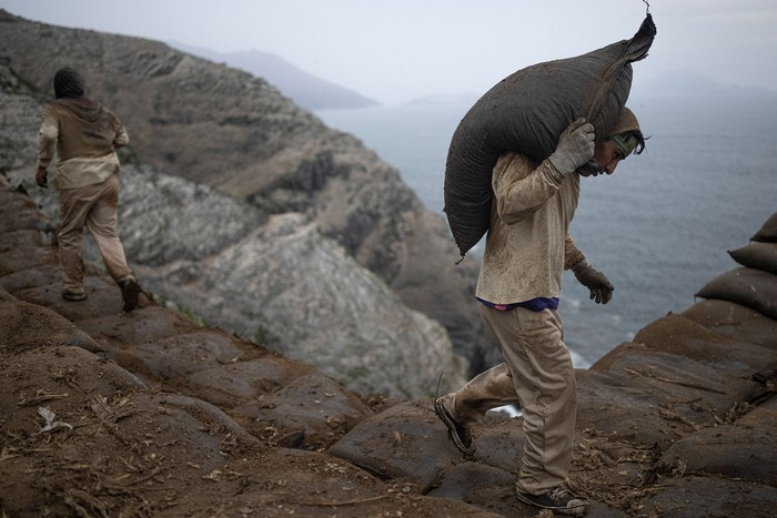 Extracción de guano en Isla Santa, Perú. · Foto: Ernesto Benavides, AFP Extracción de guano en Isla Santa, Perú. · Foto: Ernesto Benavides, AFP