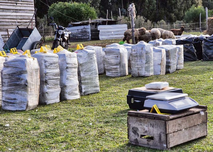 Cocaína incautada durante un operativo, el 3 de agosto, en Punta Espinillo. · Foto: Ministerio del Interior Cocaína incautada durante un operativo, el 3 de agosto, en Punta Espinillo. · Foto: Ministerio del Interior