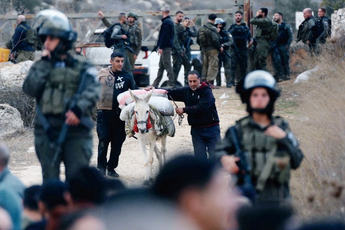 Agricultores palestinos abandonan los olivares tras la intervención de las fuerzas israelíes en la aldea de Salem, al este de Nablus, Cisjordania, el 28 de noviembre de 2024. · Foto: Nedal Eshtayah / AFP Agricultores palestinos abandonan los olivares tras la intervención de las fuerzas israelíes en la aldea de Salem, al este de Nablus, Cisjordania, el 28 de noviembre de 2024. · Foto: Nedal Eshtayah / AFP